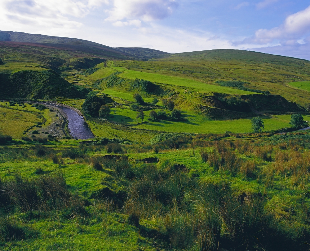 Glenelly Valley Sperrin Mountains Co Tyrone Ireland Poster Print by The Irish Image Collection - 17 x 13