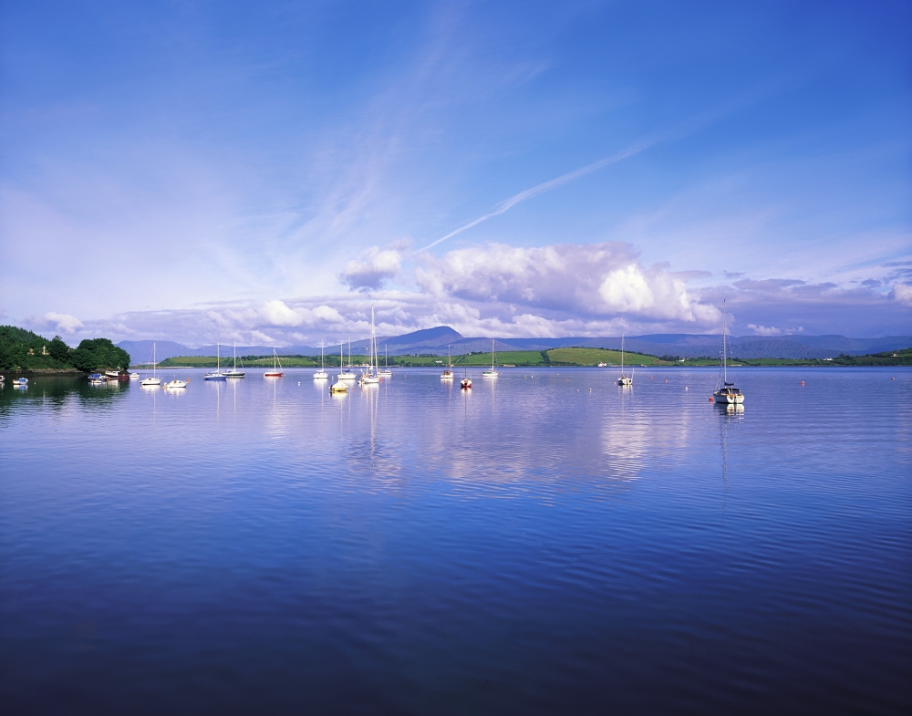 Bantry Bay Whiddy Island Co Cork Ireland - Boats Moored in a Bay Poster Print by The Irish Image Collection - 17 x 13