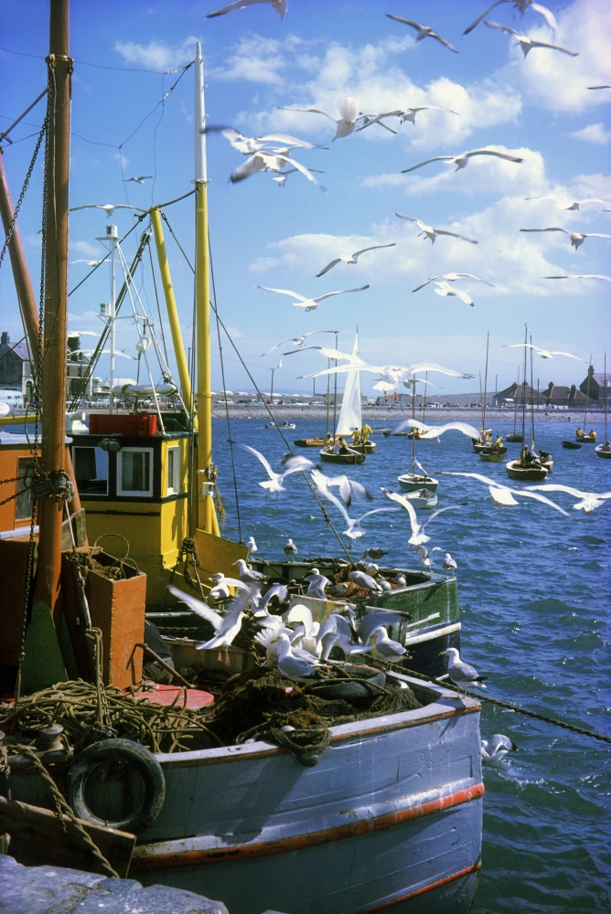 Fishing Boat Poster Print by The Irish Image Collection, 12 x 19
