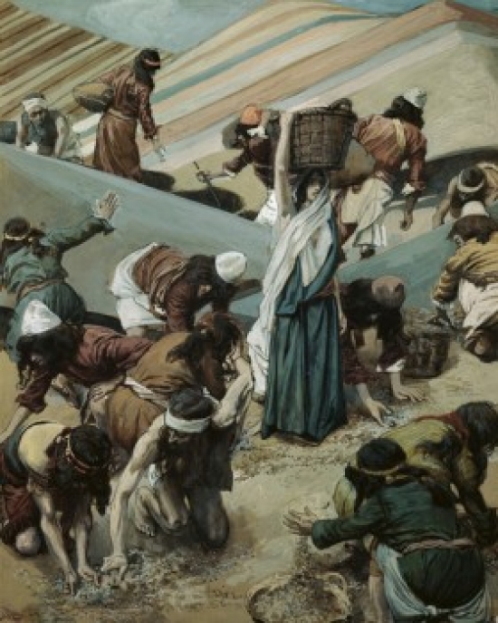SAL999484 The Gathering of Manna James J. Tissot 1836-1902 French Jewish Museum New York Poster Print - 18 x 24 in.