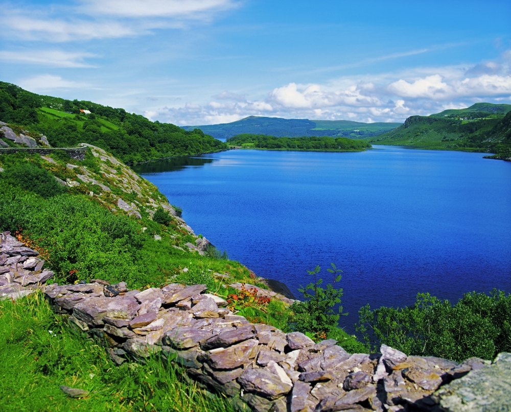 Lough Caragh Co Kerry Ireland - Shoreline of A Lake Poster Print by The Irish Image Collection - 17 x 13