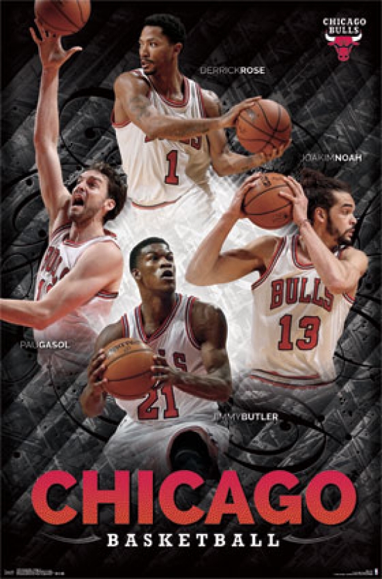 Chicago Bulls - Collage 2014 Poster Print