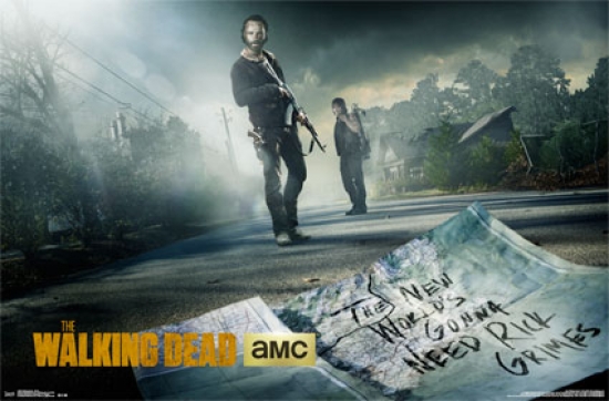 Walking Dead - Street Poster Print - 22 x 34 in.