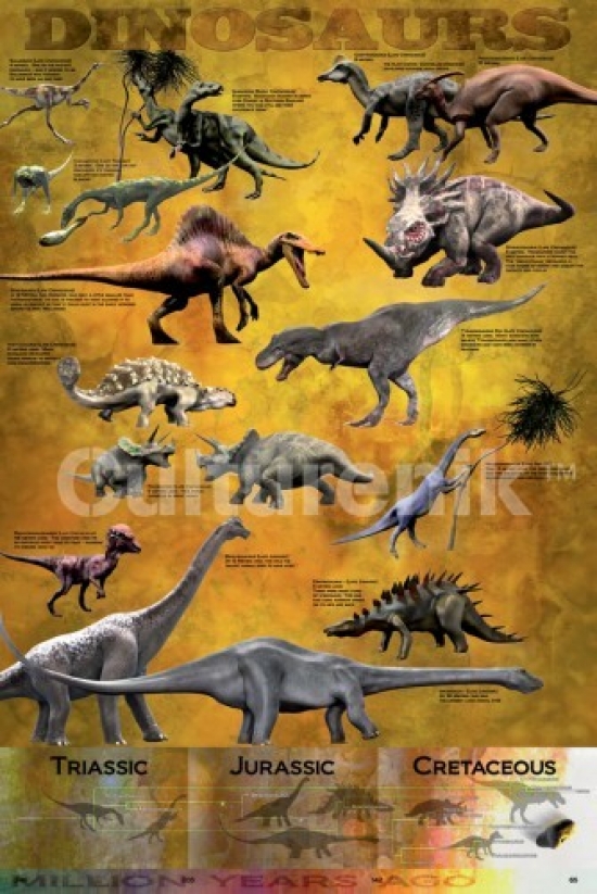 Dinosaur Chart Poster Print - 36 x 24 in.