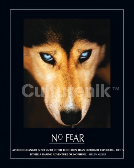 No Fear Wolf Poster Print - 20 x 16 in.