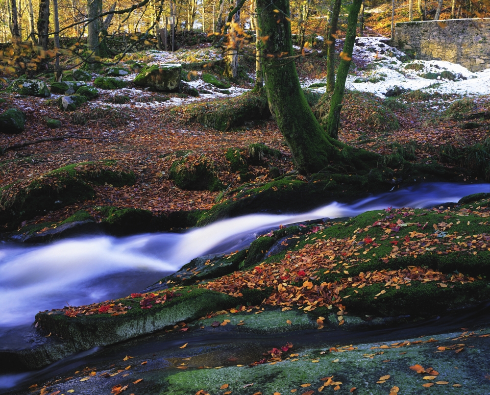 Glenmacnass Waterfall Co Wicklow Ireland Poster Print - 17 x 13