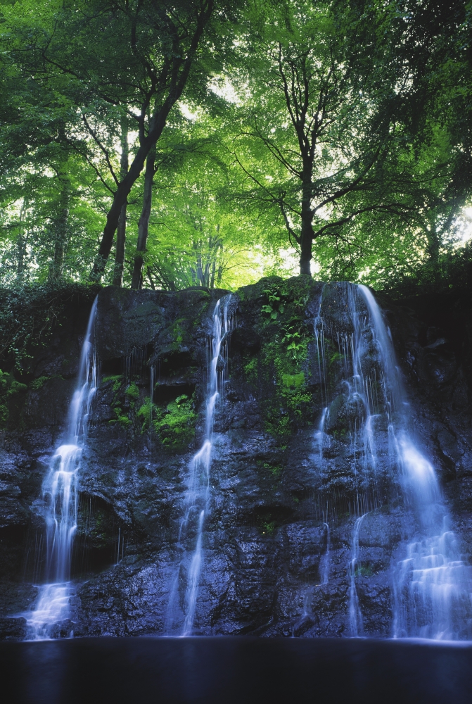 DPI1803586 Glenariff Waterfall Co Antrim Ireland - Waterfall with Trees Above Poster Print by The Irish Image Collection, 12 x 18