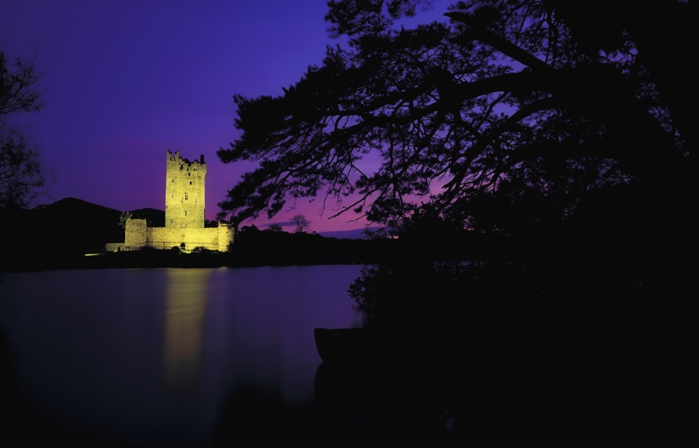Co Kerry Ross Castle Killarney Poster Print by The Irish Image Collection - 38 x 24 - Large