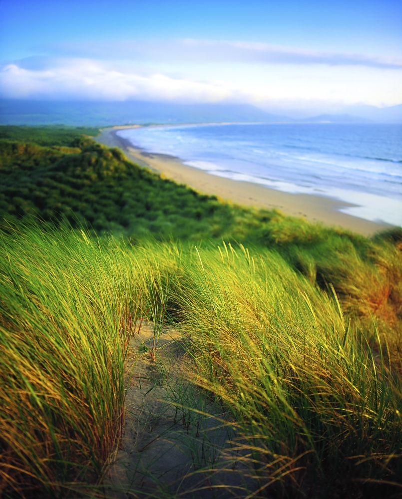 Co Kerry Castlegregory Sandunes Poster Print by The Irish Image Collection - 26 x 34 - Large