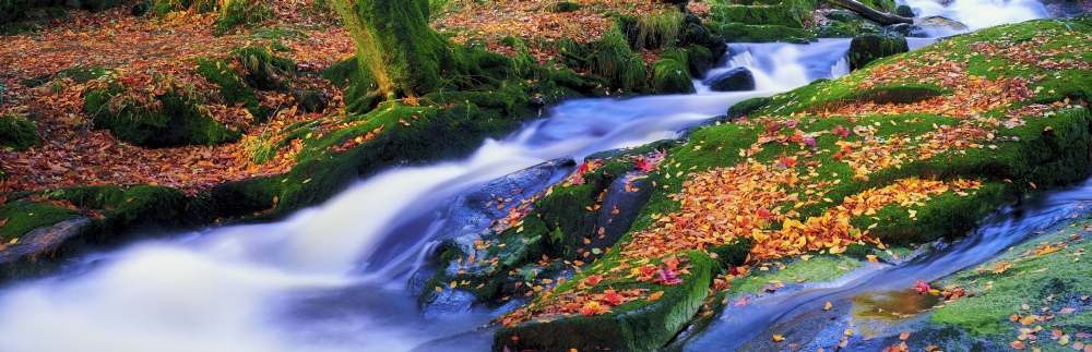 Glenmacnass Waterfall Co Wicklow Ireland Poster Print by The Irish Image Collection, 44 x 14 - Large