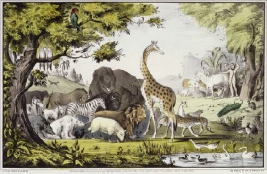 Adam Naming the Creatures 1847 Currier & Ives Active 1857-1907 American Lithograph Library of Congress Poster Print - 18 x 24 in.