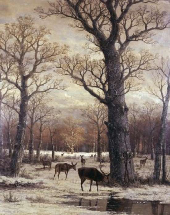 Deer Foraging Winter 19th C. Artist Unknown Poster Print - 18 x 24 in.