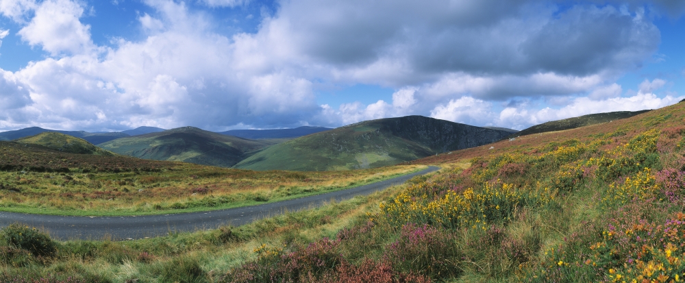 DPI1798757 Road Through A Mountain Range County Wicklow Republic of Ireland Poster Print by The Irish Image Collection, 30 x 12