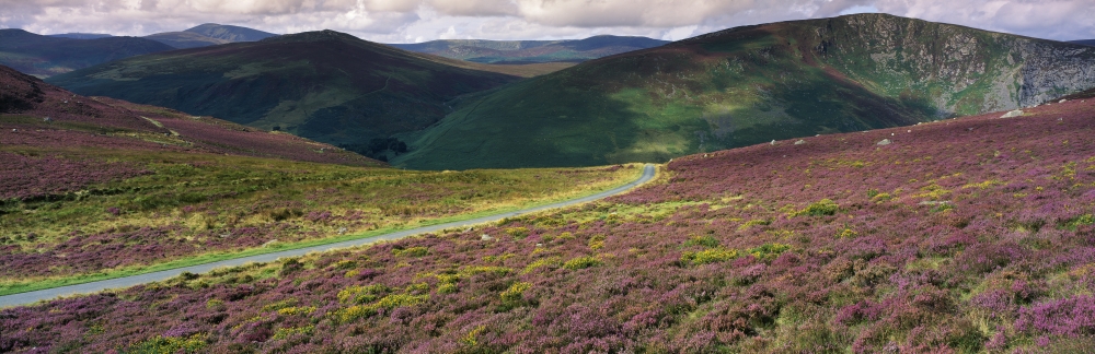 DPI1798862 Country Road Passing Through A Landscape Luggala County Wicklow Republic of Ireland Poster Print by The Irish Image Collection, 35 x 11