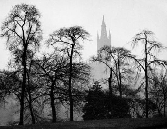 Scotland Glasgow Glasgow University Silhouettes of Trees on the Foreground Poster Print - 18 x 24 in.
