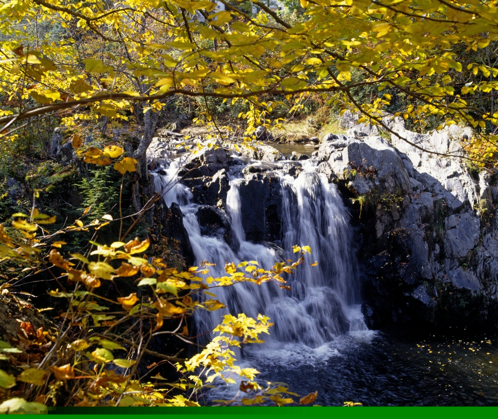 Small Waterfall Among Trees Poster Print by David Chapman, 32 x 28 - Large