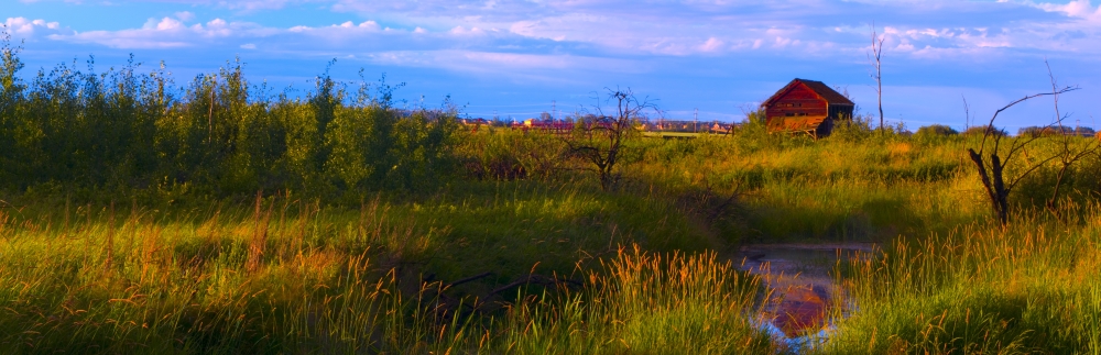 DPI1805574LARGE Summer Shot of Old Shack by Creek St. Albert Alberta Canada Poster Print by Corey Hochachka, 44 x 14 - Large