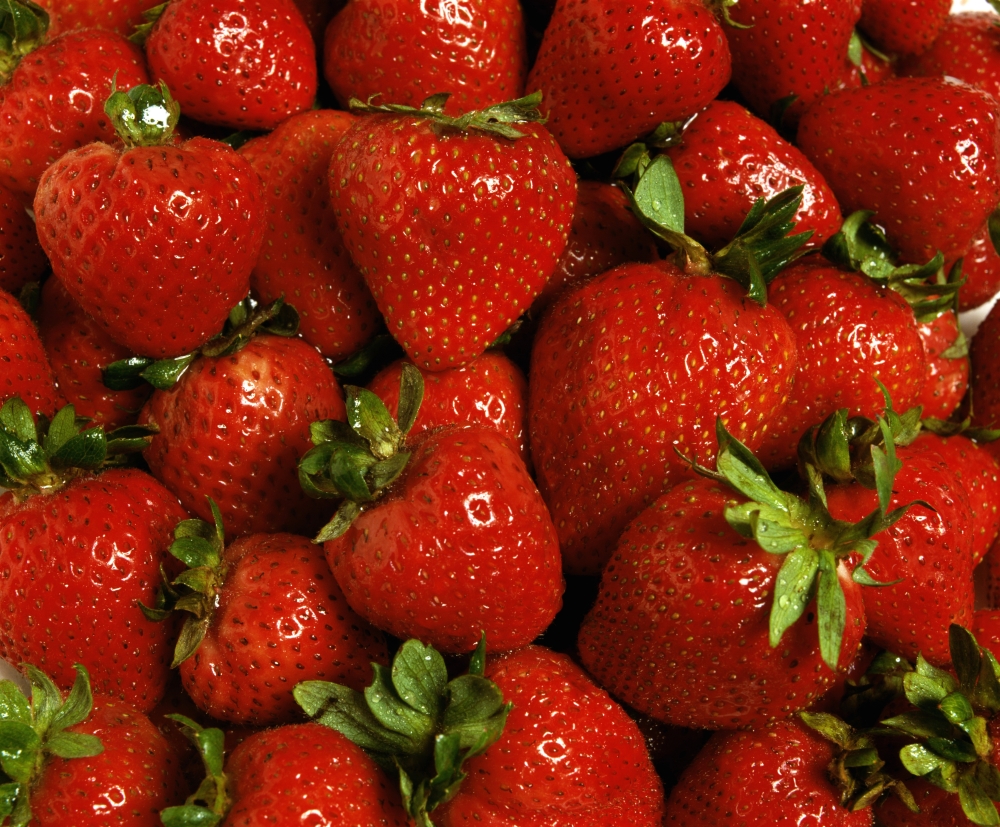 Strawberries Poster Print by David Chapman - 16 x 13