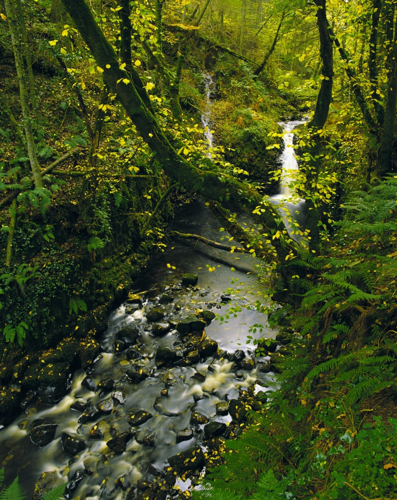 DPI1802092 Glenariff Co Antrim Ireland - Waterfall Poster Print by The Irish Image Collection, 13 x 17