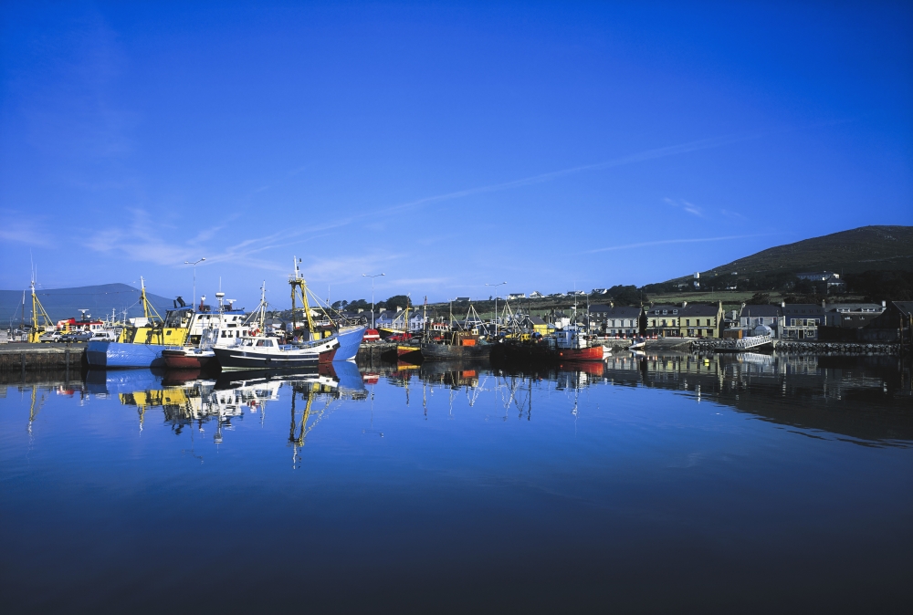 Dingle Harbour Dingle Co Kerry Ireland Poster Print by The Irish Image Collection, 36 x 24 - Large