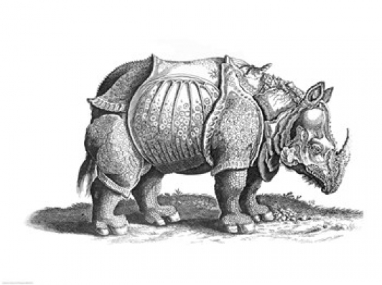 Picture of Posterazzi BALXIR230156 Rhinoceros Poster Print by Albrecht Durer - 24 x 18 in.