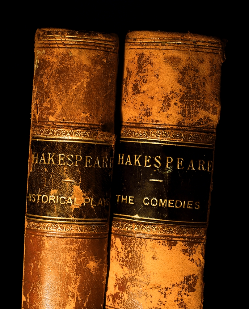 DPI1816356 Shakespeare Leather Bound Books Poster Print by The Irish Image Collection, 13 x 17