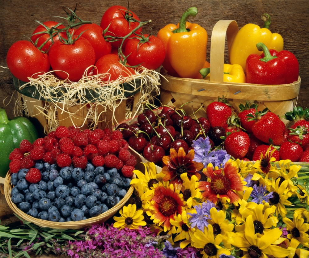 Fruits & Vegetables Poster Print by David Chapman - 16 x 13