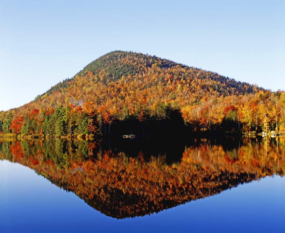 Autumn Colours Reflected in Water Eastern Townships Quebec Canada Poster Print by David Chapman - 32 x 26 - Large