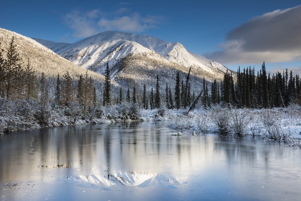 Thin Ice On A Pond Following A Fresh Snow On Mountains in The Brooks Range North of Wiseman Alaska. Poster Print by Carl Johnson - 19 x 12