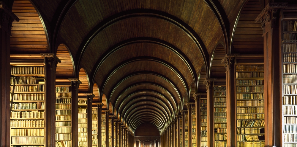 DPI1814594LARGE Thomas Burgh Library Trinity College Dublin Ireland Poster Print by The Irish Image Collection, 44 x 22 - Large