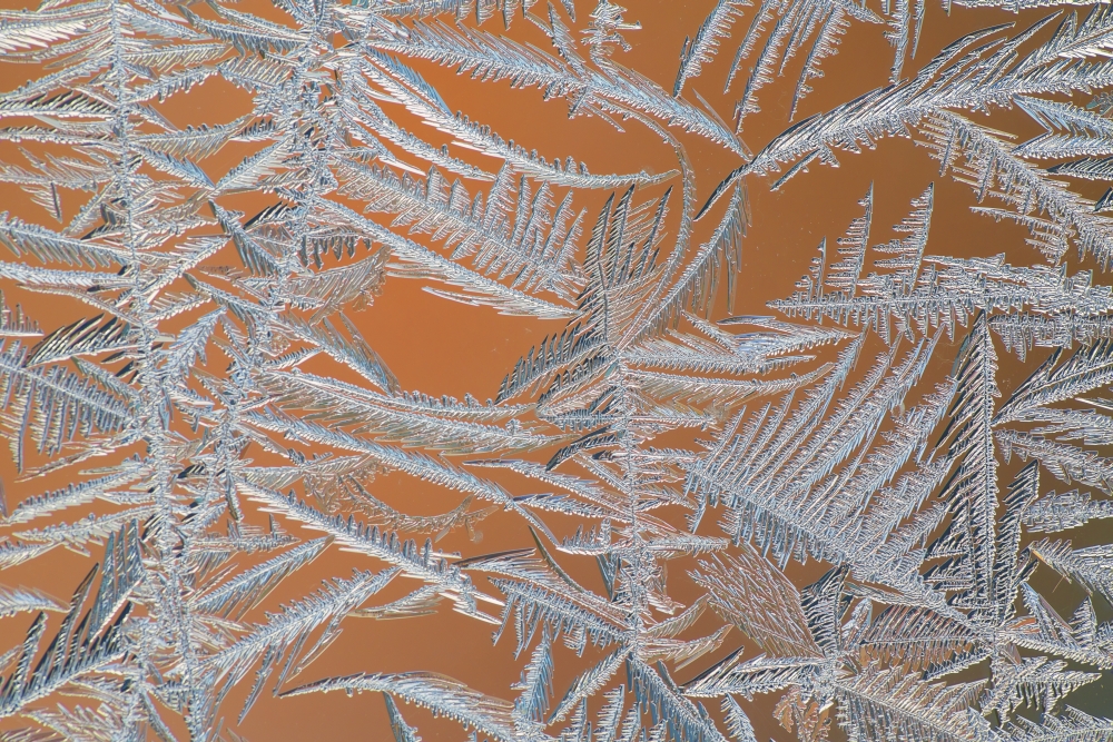 Ice Crystals On A Window - Whitehorse Yukon Canada Poster Print by Robert Postma - 19 x 12