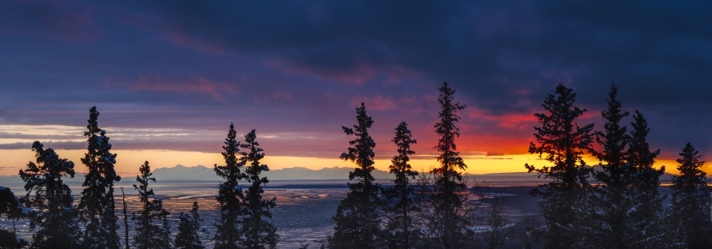 Panoramic View of Sunset Over The Cook Inlet from The Anchorage Hillside Southcentral Alaska Poster Print by Carl Johnson - 36 x 12