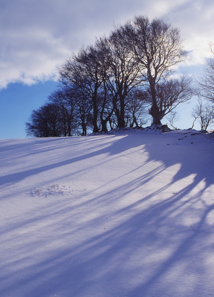 Winter Landscape Poster Print by The Irish Image Collection, 26 x 36 - Large
