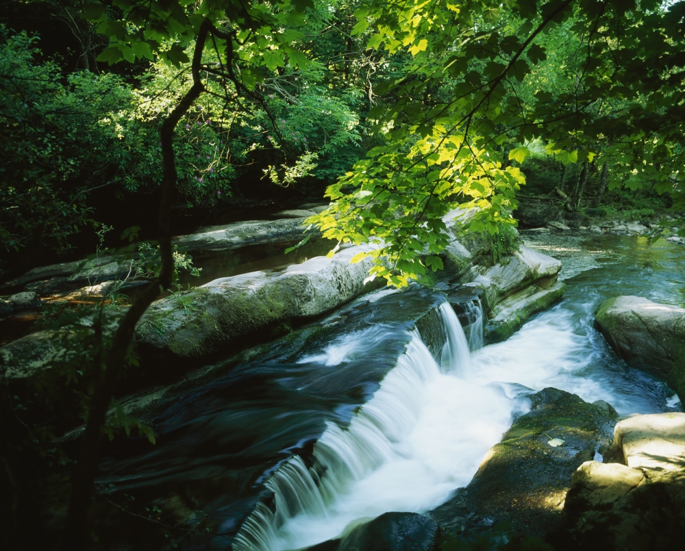 Clare Glens Co Clare Ireland Poster Print by The Irish Image Collection - 17 x 13