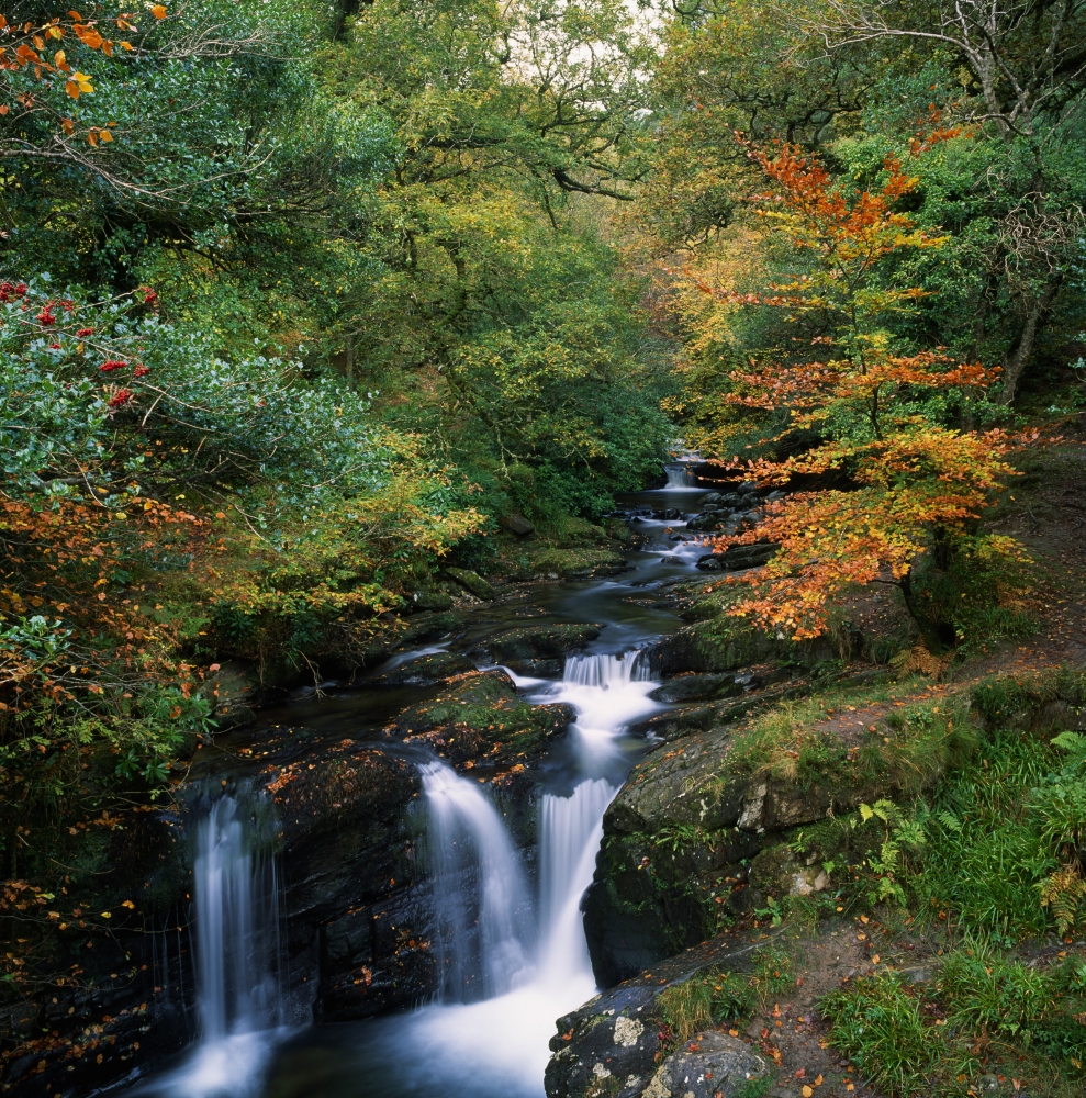 Torc Waterfall Ireland Co Kerry Poster Print by The Irish Image Collection - 15 x 15