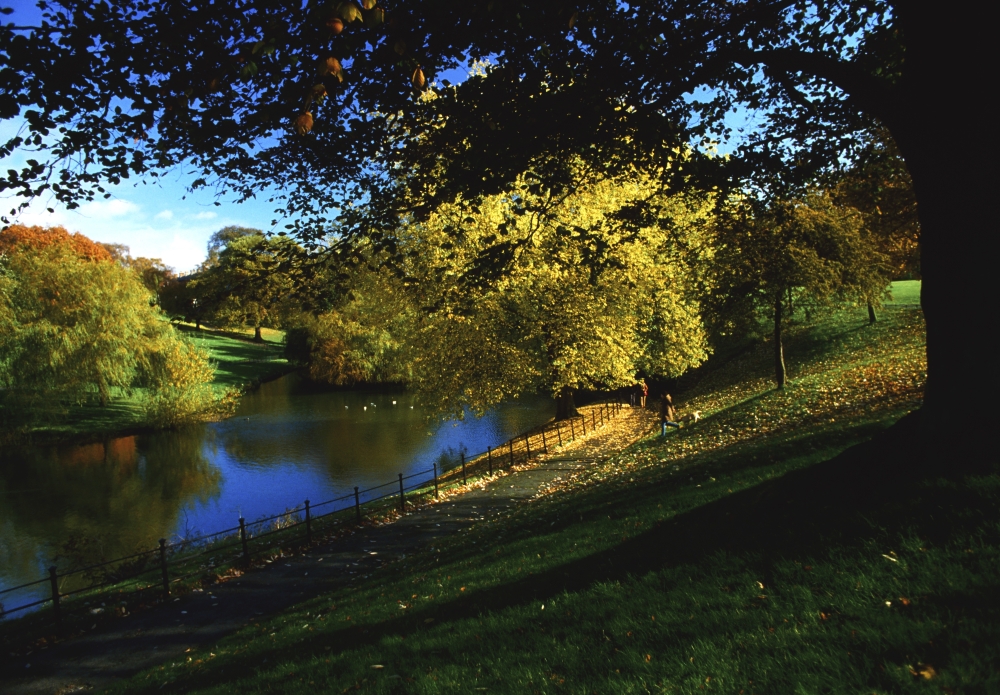 Phoenix Park Dublin Co Dublin Ireland Poster Print by The Irish Image Collection, 36 x 24 - Large