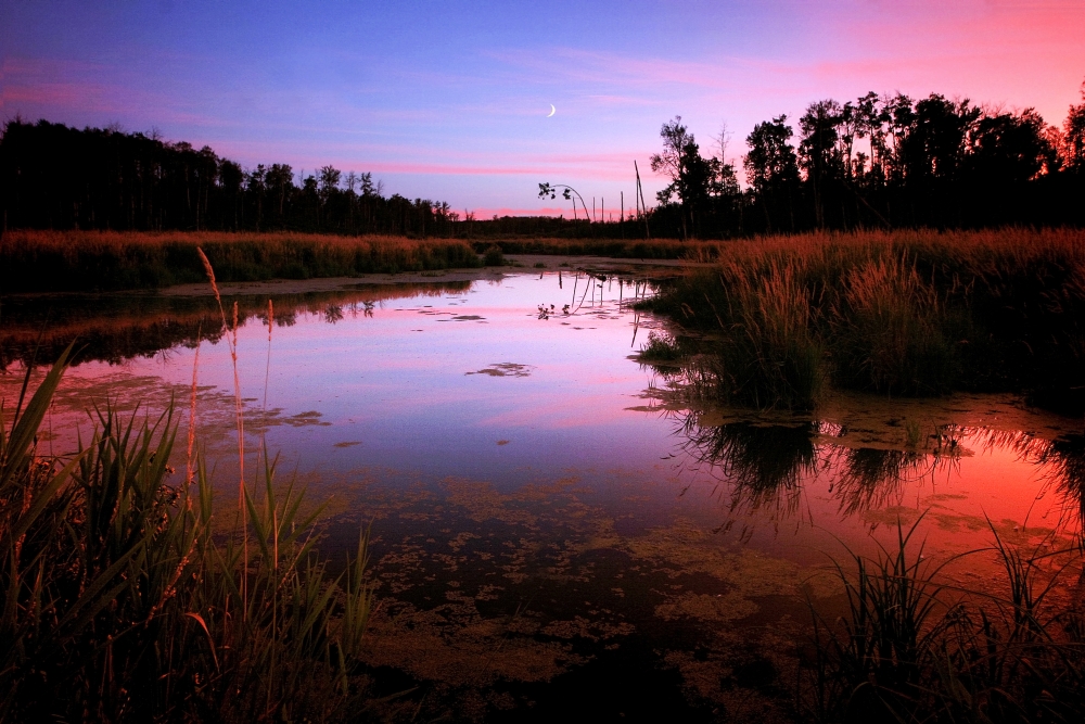 Sunset Over River Poster Print by Richard Wear, 34 x 22 - Large