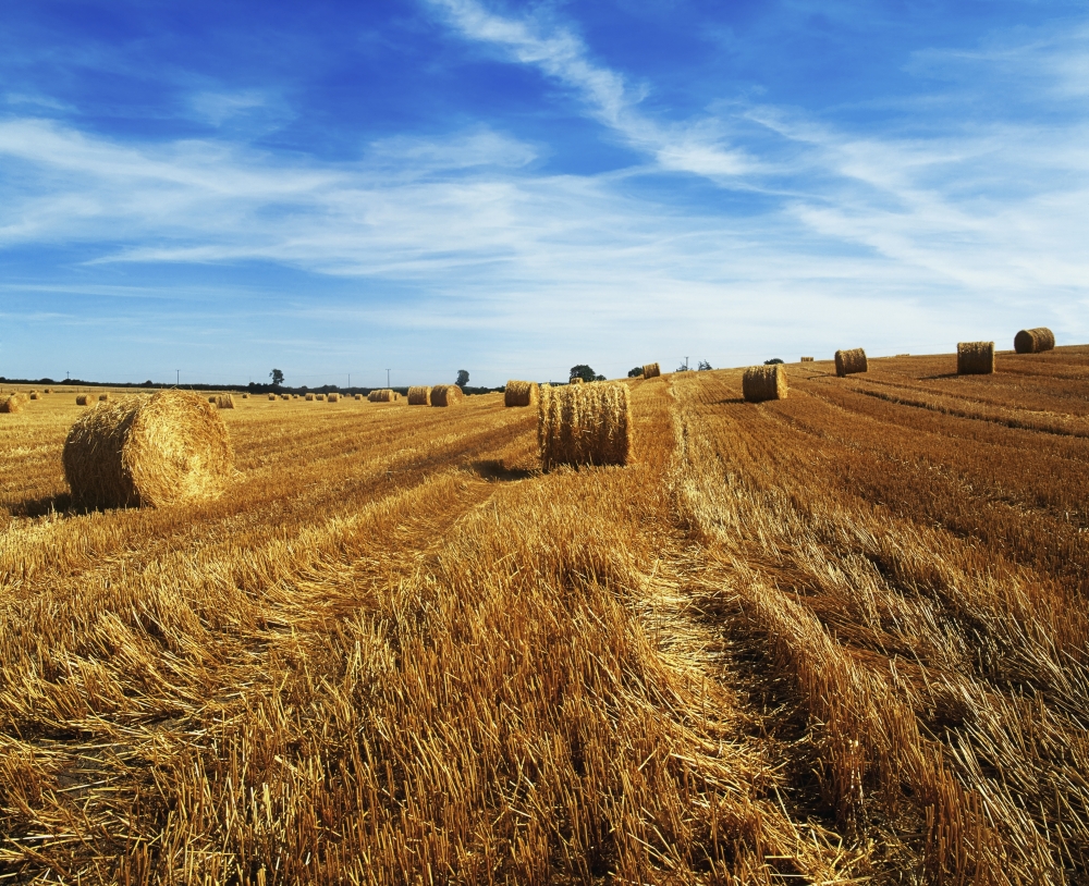 Hay Baling Poster Print by The Irish Image Collection - 17 x 14