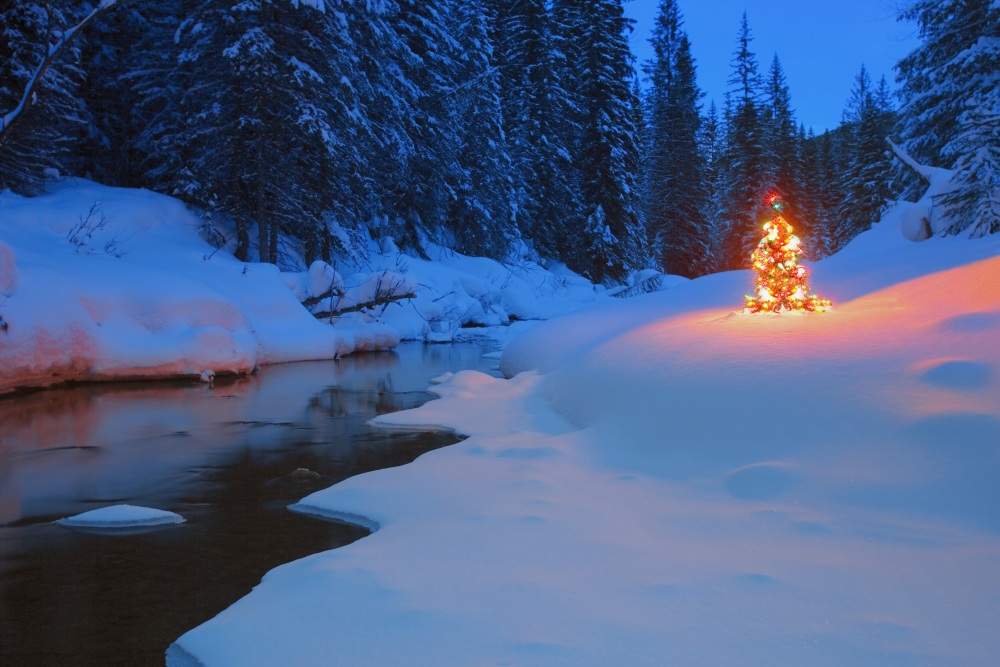 DPI1814697LARGE Glowing Christmas Tree by Mountain Stream Poster Print by Carson Ganci, 34 x 22 - Large