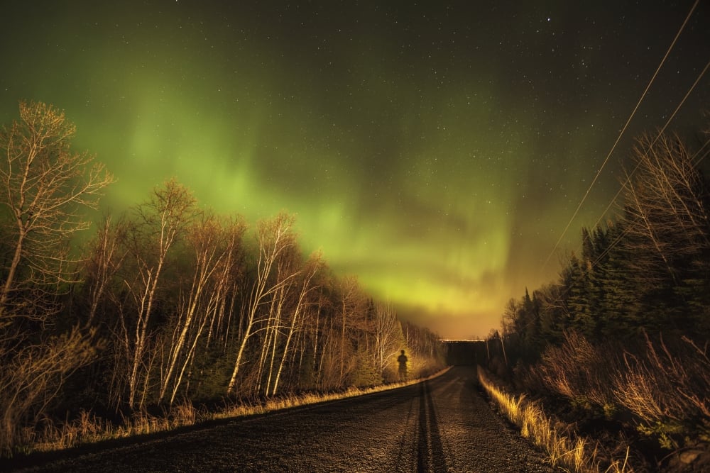 DPI12301412 Aurora Borealis Over Road - Thunder Bay Ontario Canada Poster Print by Susan Dykstra, 19 x 12