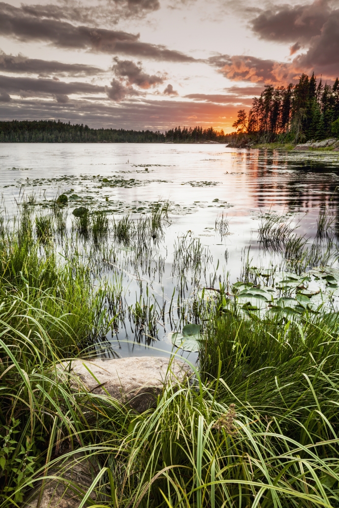 DPI12301414 Sunset Over A Pond - Thunder Bay Ontario Canada Poster Print by Susan Dykstra, 12 x 19