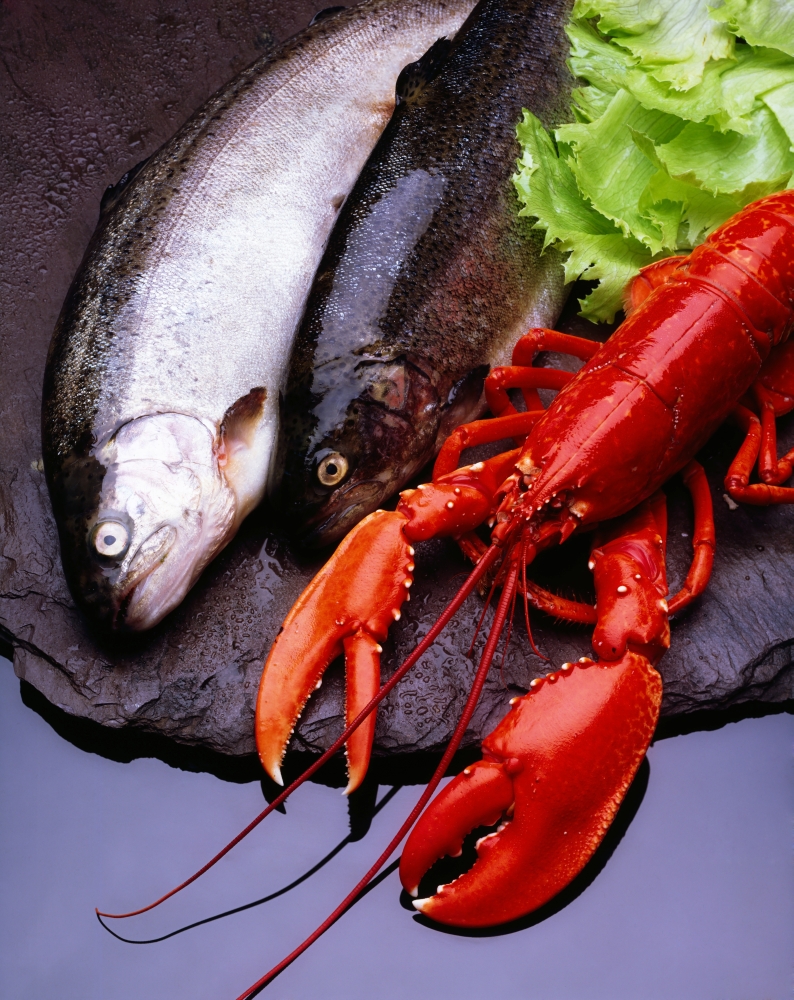 DPI1812201 Lobster & Trout Poster Print by The Irish Image Collection, 13 x 17
