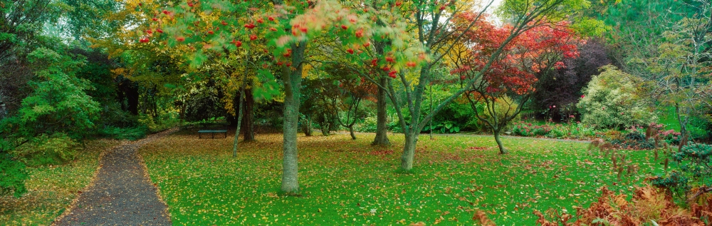 Irish Gardens Poster Print by The Irish Image Collection, 44 x 14 - Large