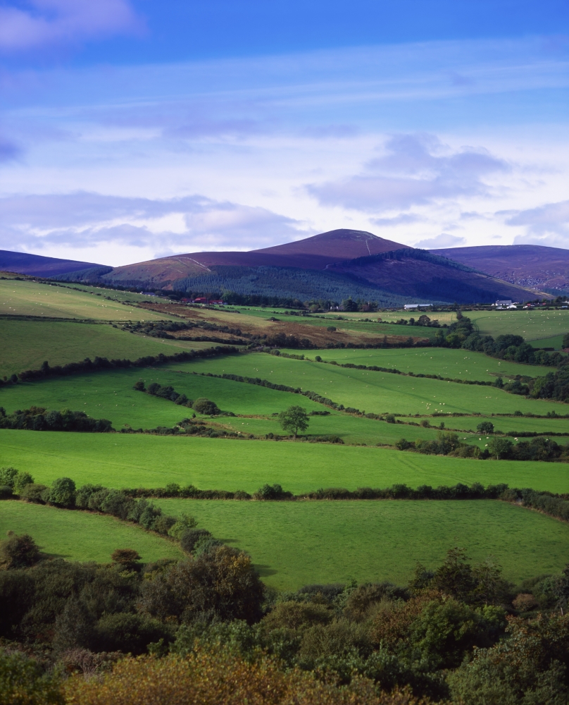 DPI1813392LARGE Fields from The Sugar Loaf Mountain Co Wicklow Ireland Poster Print by The Irish Image Collection, 26 x 32 - Large
