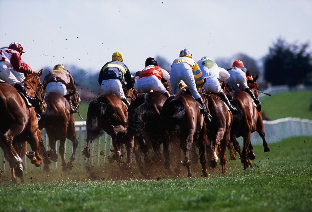 Horse Racing - 18 x 12