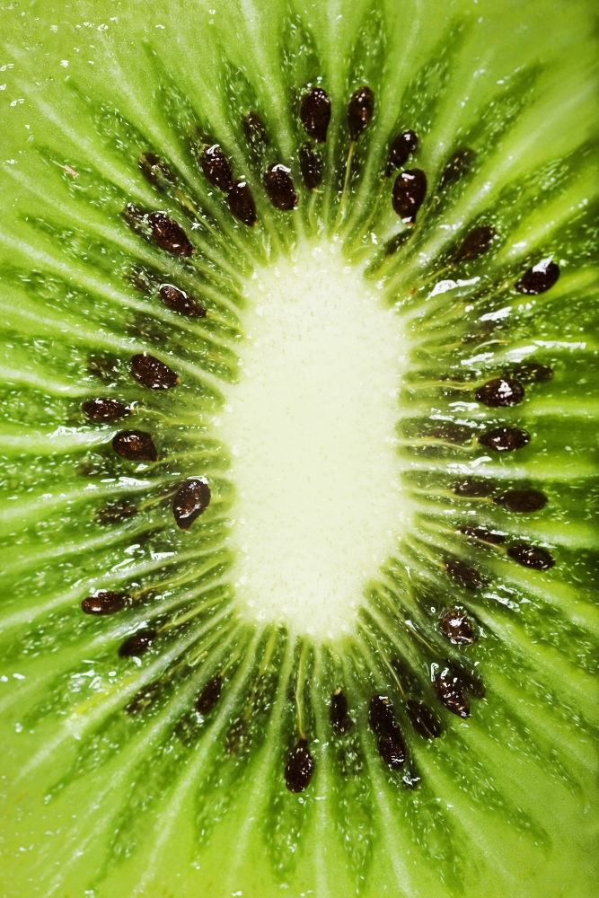 Kiwi Slice Poster Print by Chris & Kate Knorr - 11 x 17