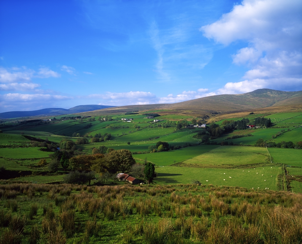 DPI1812347 Sperrin Mountains Co Tyrone Ireland Poster Print by The Irish Image Collection, 19 x 15