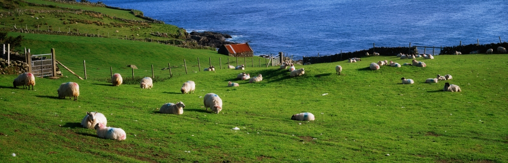 Co Cork Beara Peninsula Poster Print by The Irish Image Collection, 44 x 14 - Large
