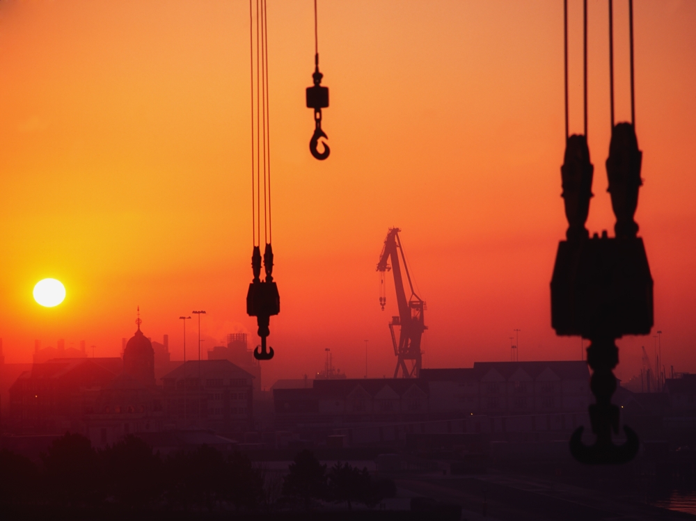 Cranes At Sunset Poster Print by The Irish Image Collection, 34 x 26 - Large