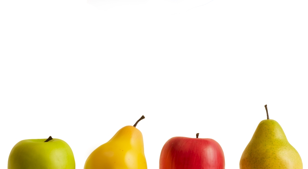Apples & Pears Poster Print by Chris & Kate Knorr - 20 x 11